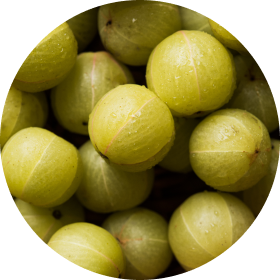 Wild Amla